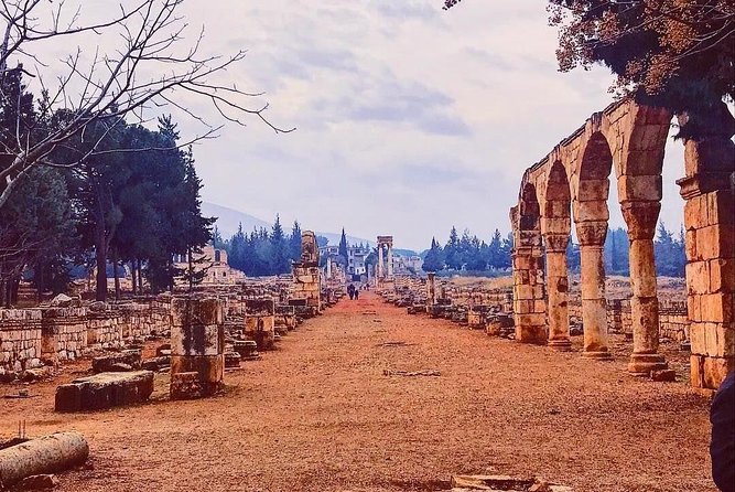 Baalback , Anjar & Chateau Ksara - Lunch, snacks, and the real price