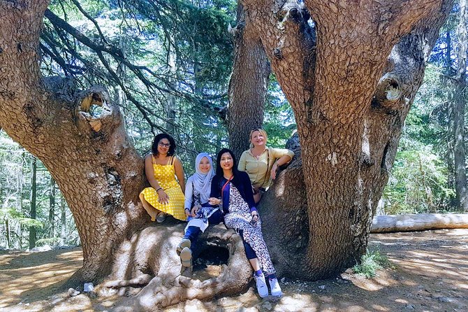 Beirut to Qadisha Valley, Bcharri & Cedar: Daily Tours with Lunch - Fitness, timing, and what to bring