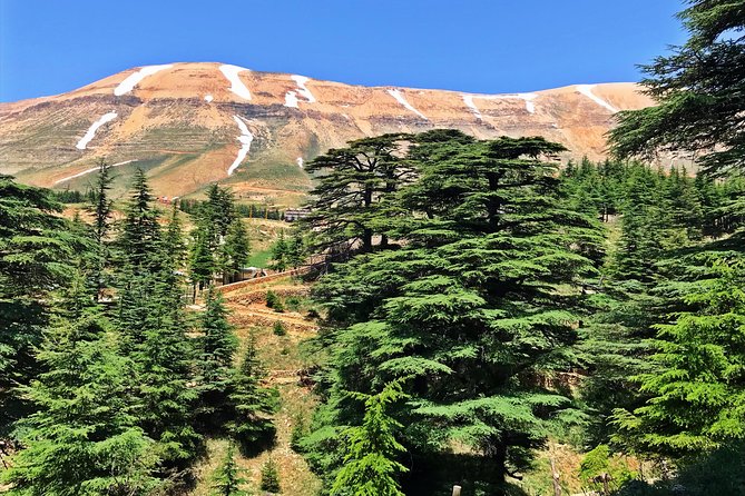 Cedars, Bsharre & Kozhaya Day Tour - The drive from Beirut to the Cedars of God