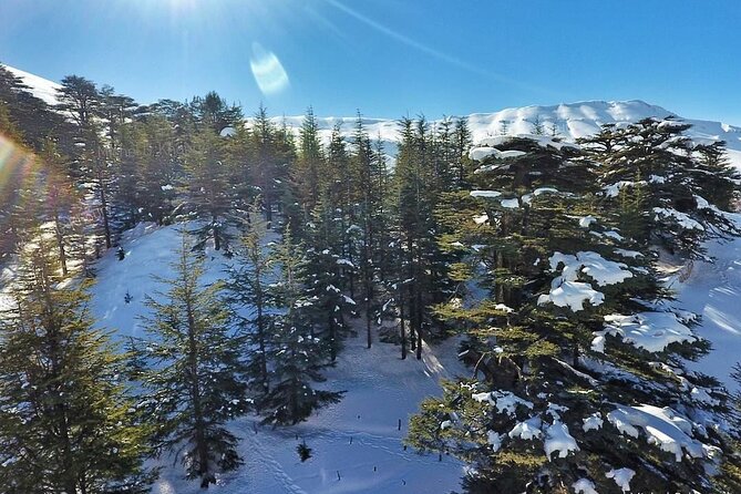 Cedars of Lebanon, Qozhaya, & Bcharre - With Lunch (4G on Board) - What $95 includes, and what it does not