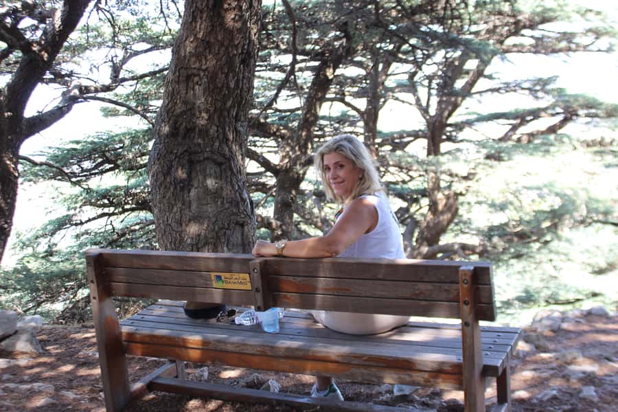 Cedars Shouf & Beiteddine w/pick-up, guide, entries+lunch - Key points at a glance