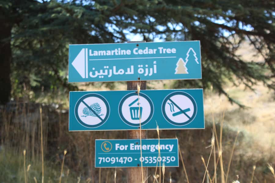 Cedars Shouf & Beiteddine w/pick-up, guide, entries+lunch - A Lebanese lunch with mezze and grills