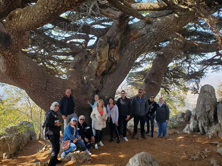 Cedars Shouf & Beiteddine w/pick-up, guide, entries+lunch - How the seven-hour schedule feels