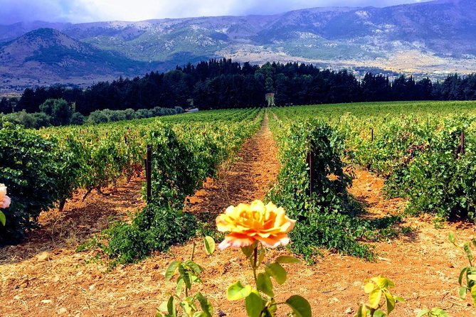 Full-Day Private Wine Tasting Tour - Chateau Kefraya on the terraced slopes