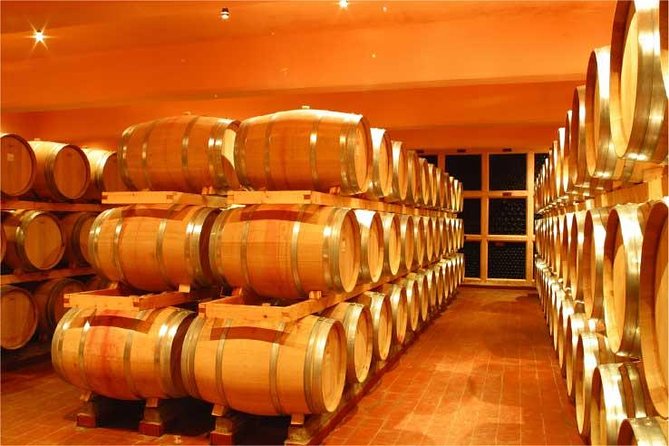 Full-Day Private Wine Tasting Tour - Lunch, timing, and the practical trade-offs