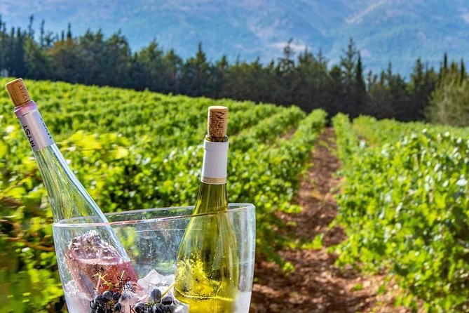 Full-Day Private Wine Tasting Tour - Is $104.17 a fair price?