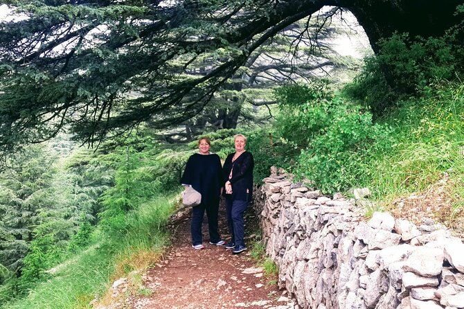 Guided Full-Day Private Trip to Cedars, Baalbek and Chateau Ksara - Reading the Roman sanctuary at Heliopolis