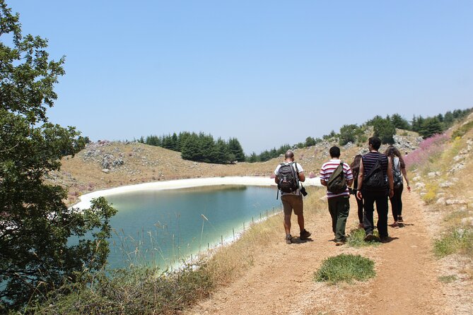 Guided small group to Cedars Reserve & Beiteddine w/lunch+entries - The guide and the feel of the day