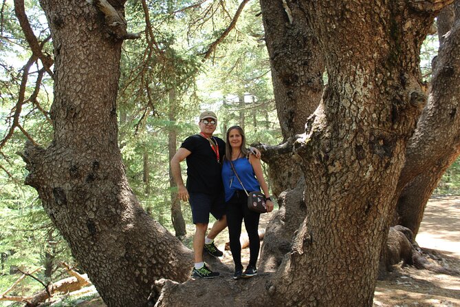 Guided small group to Cedars Reserve & Beiteddine w/lunch+entries - Booking, cancellation, and weather details