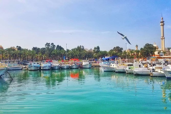 Guided Small-Group Tour to Tripoli and Batroun with Lunch - The souks: the part that rewards attention