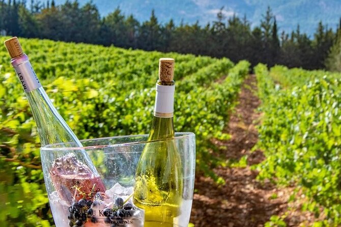 Journey Through Lebanese Wine: A Private Tour in the Beqaa Valley - Château Kefraya at 1,000 meters above the Mediterranean