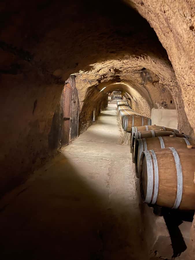 Lebanese wineries guided tour with tastings & lunch - How the private format changes the day