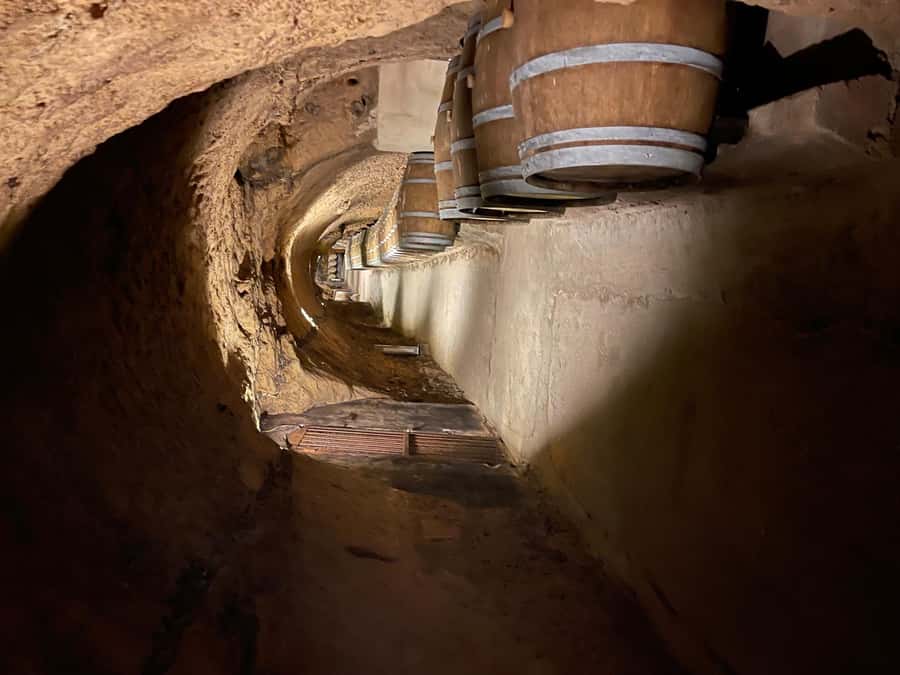 Lebanese wineries guided tour with tastings & lunch - Who will enjoy this day most?