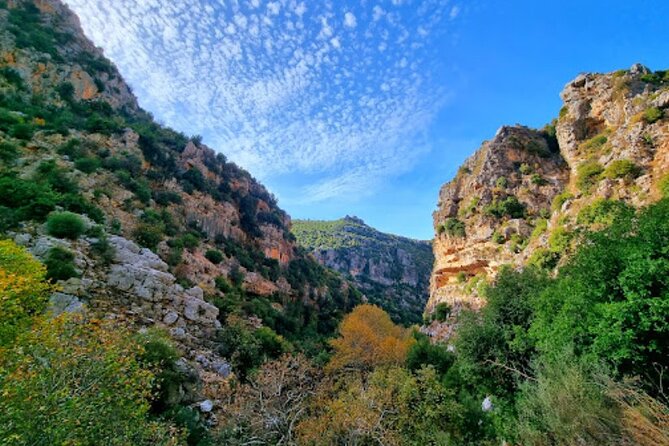 Lebanon Waterfalls Tour - My take: book it if you want variety and simple transport