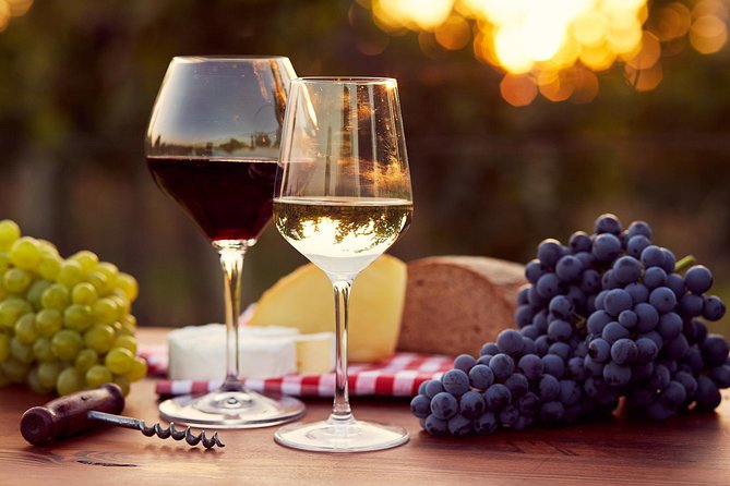 Lebanon Wine Tasting Tour From Beirut - What the guide adds to the day