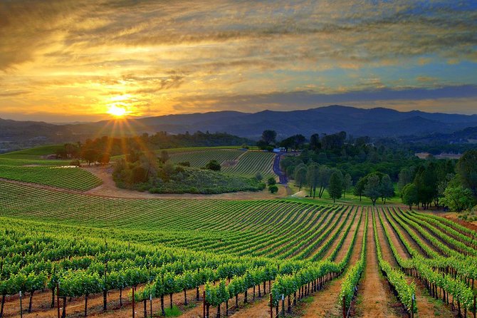 Lebanon Wine Tasting Tour From Beirut - Is $91.03 a fair price?