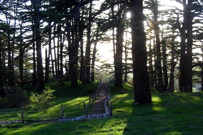 PRIVATE Tour to Cedars of God, Besharre & Qozhaya Valley - At a glance: what makes this private day special