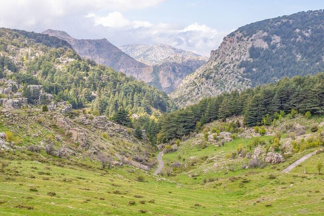 PRIVATE Tour to Cedars of God, Besharre & Qozhaya Valley - Is $113.34 per person good value?