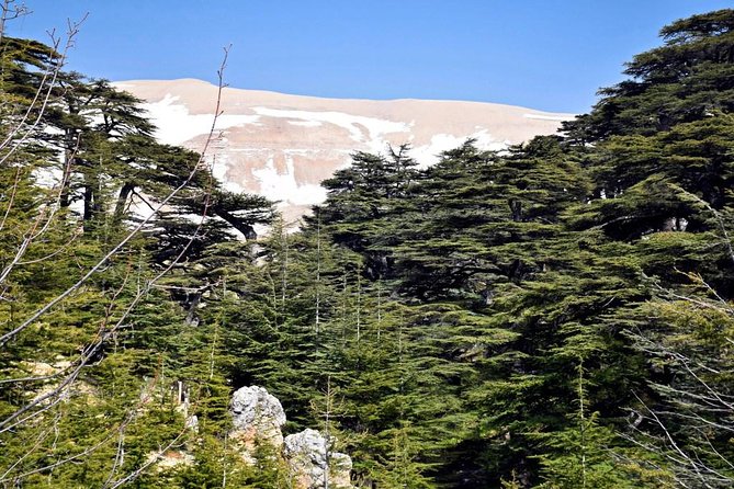 PRIVATE Tour to Cedars of God, Besharre & Qozhaya Valley - Besharre and the Gibran Museum