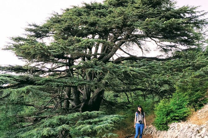 Private Trip to Beiteddine, Deir el Qamar & Maaser el Chouf Cedars - Key Points Worth Knowing