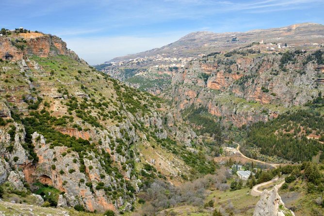 Private Trip to Qadisha Valley, Bcharri and Cedars of God - The private vehicle and guide experience