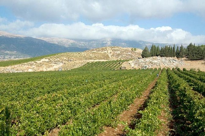 PRIVATE Wine Tasting Tour to the Bekaa Valey Fabulous Wineries - Who will enjoy this day most?