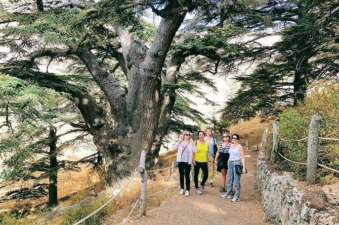Small-Group Tour with Lunch to Qadisha Valley, Bcharre and Cedars - Why Qadisha Valley is worth a full day from Beirut