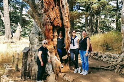 Small-Group Tour with Lunch to Qadisha Valley, Bcharre and Cedars