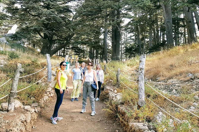 Small-Group Tour with Lunch to Qadisha Valley, Bcharre and Cedars - Who will get the most from this Mount Lebanon tour