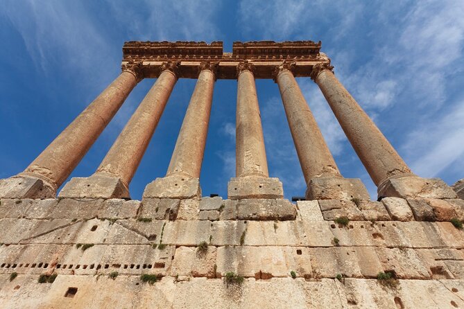 Wine Tasting and Culture - Château St Thomas in the Beqaa Valley
