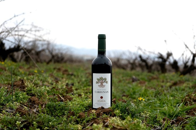 Wine Tasting and Culture - Lunch and the rhythm of the day