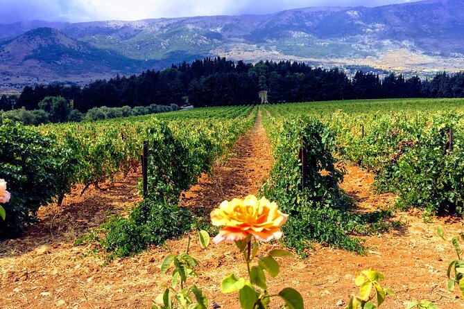 Wine Tasting and Culture - Baalbek and the Roman temples